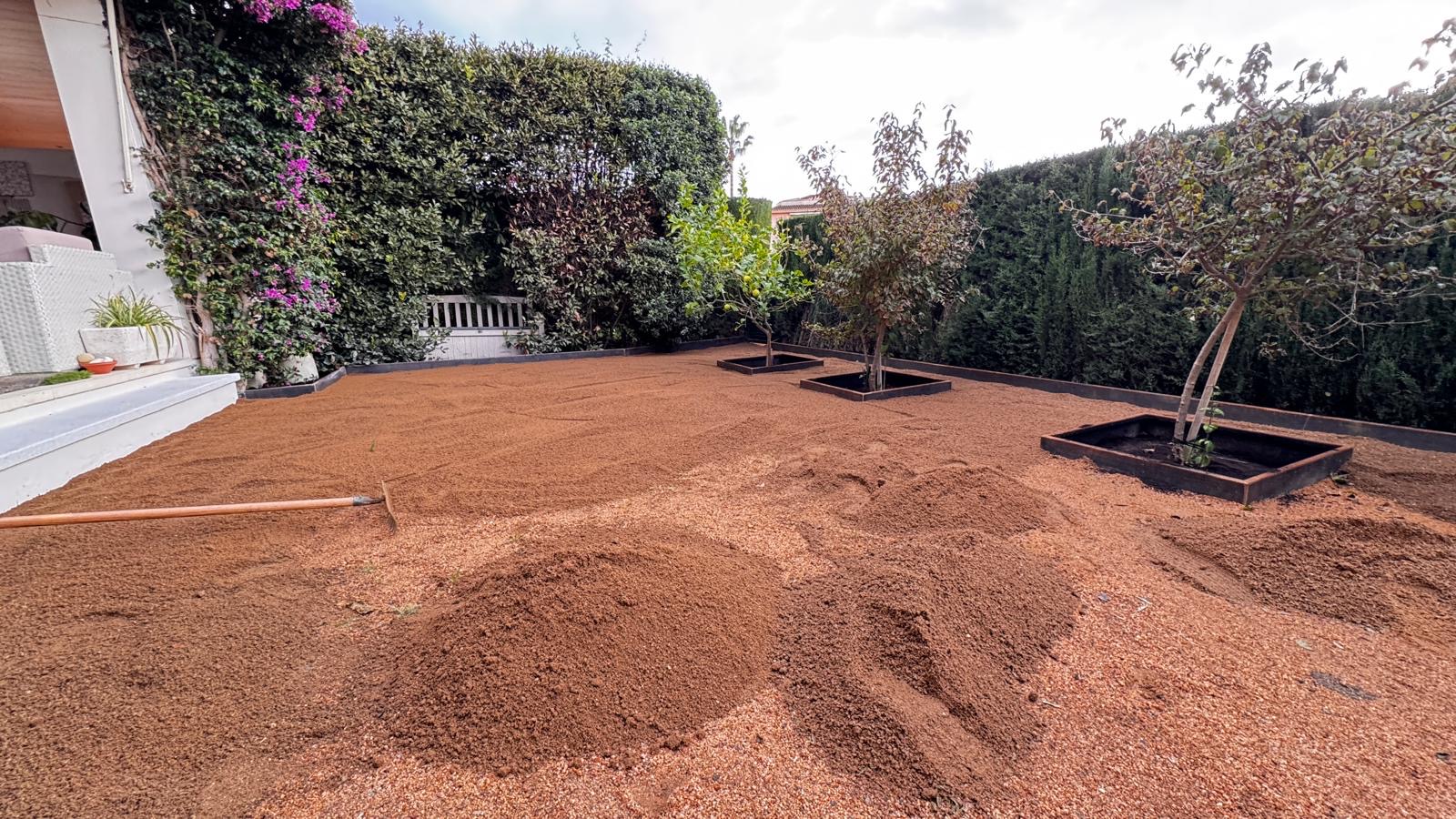Plantación y cuidado de plantas
